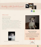 Buddy The Jack Russle Terrier Landing Page Located in Las Vegas, Nevada